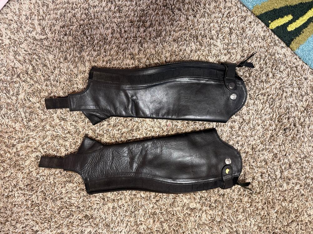 Dover Saddlery Leather Half Chaps Black XS Short Equestrian Riding Gaiters